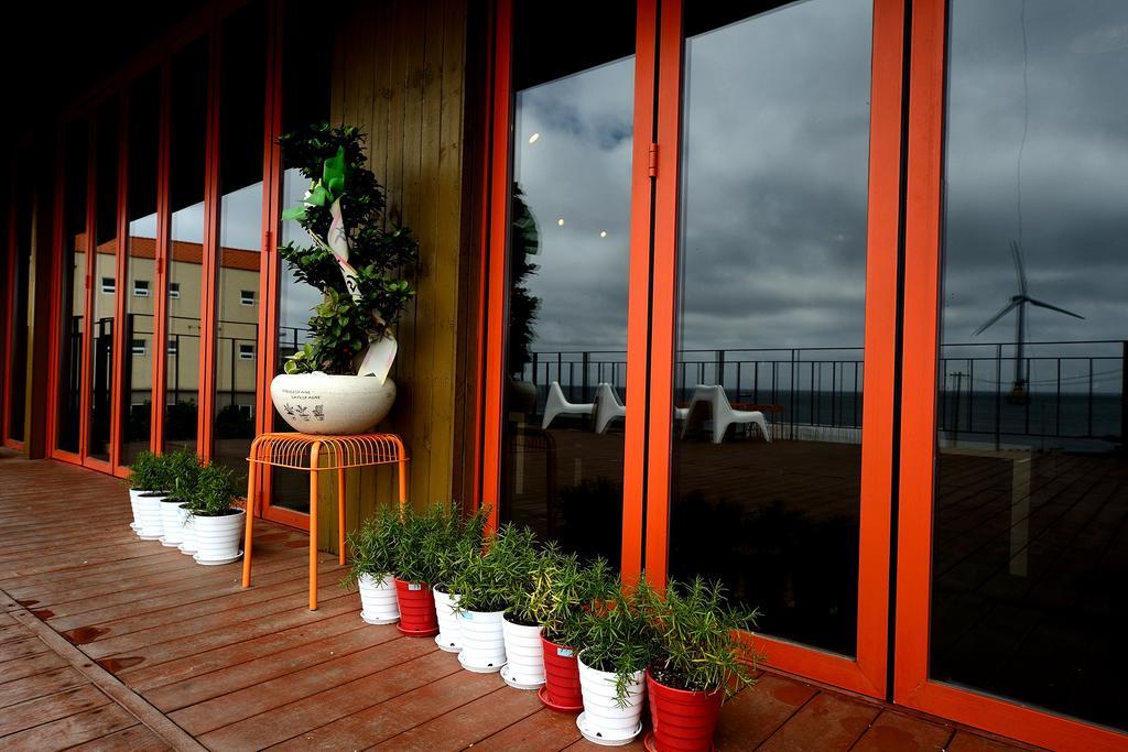 Maison Sondemul Guesthouse 済州市 エクステリア 写真